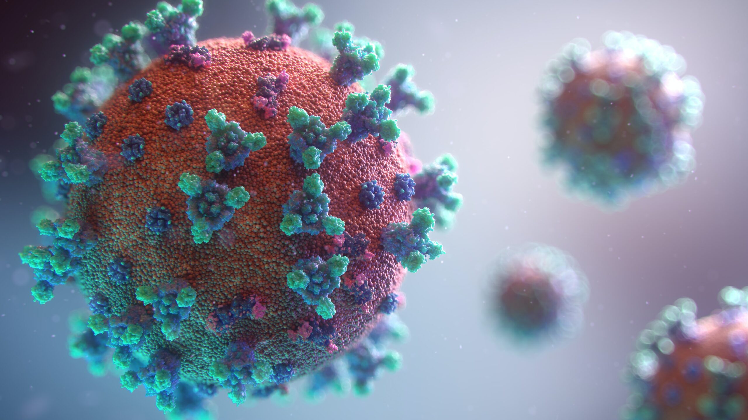 image of covid-19 virus